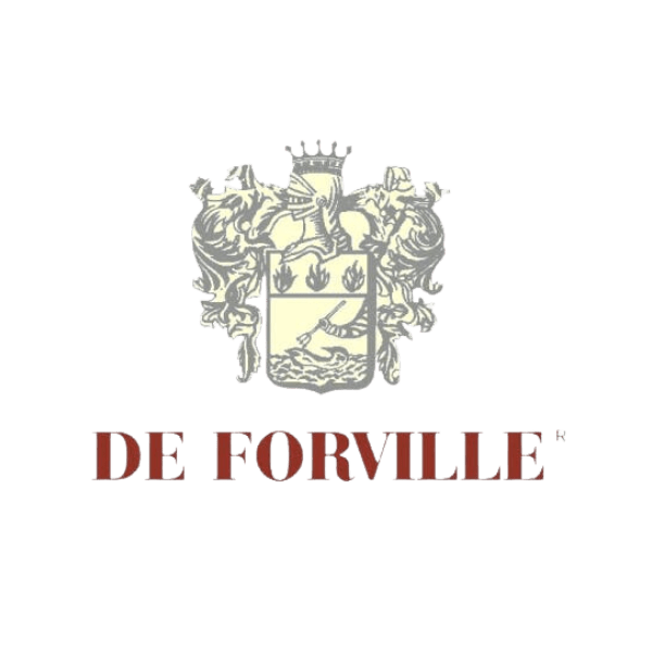 De Forville 2021 Barbera d'Alba D.O.C. Old Vine Wine & Spirits