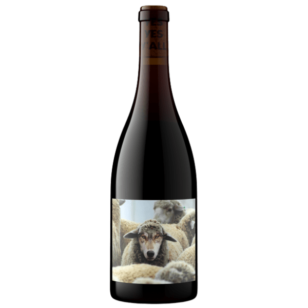In Sheep's Clothing 2023 Pinot Noir